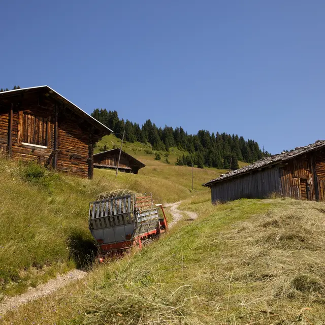 hameau-des-pachons-bisanne