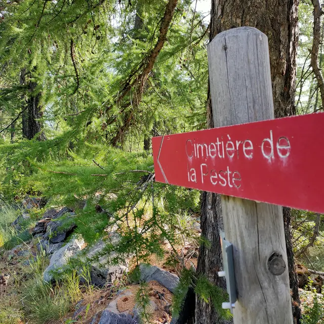 Le cimetière de Lariey dit Cimetière de la Peste_Puy-Saint-Pierre
