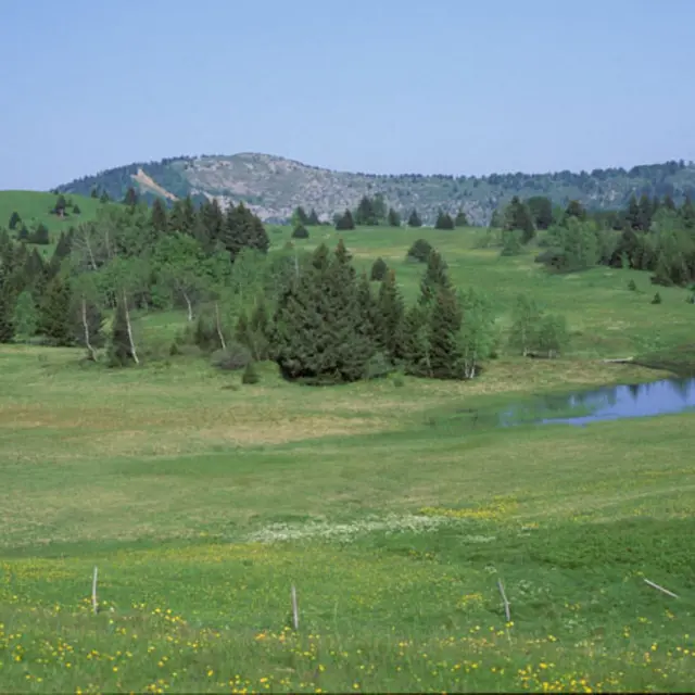 Kamishi'Tourb' : lumière contée sur la tourbière l Renc'Arts du Parc_Saint-François-de-Sales
