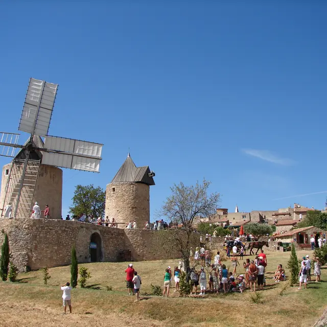 Association les Amis des Moulins de Régusse
