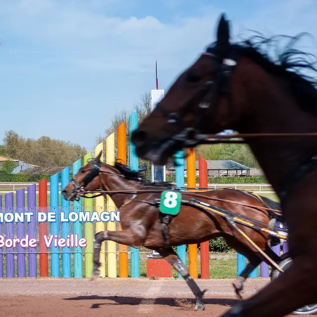 Hippodrome de Bordevieille_Beaumont-de-Lomagne