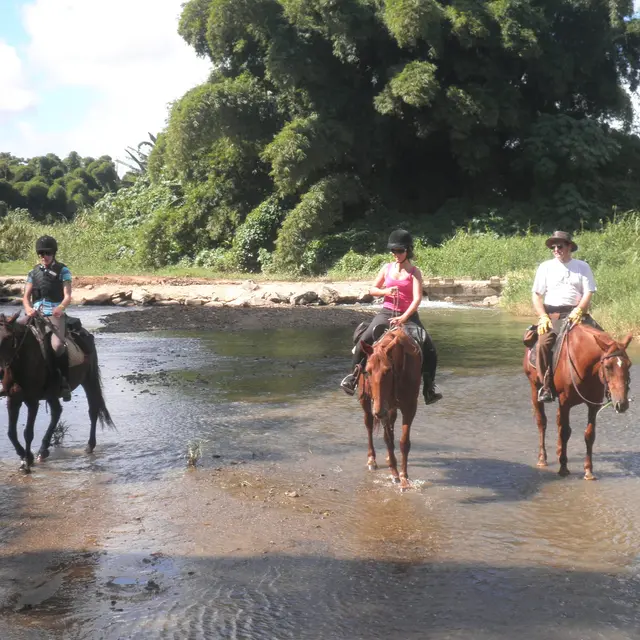 Balade à cheval sur Koné