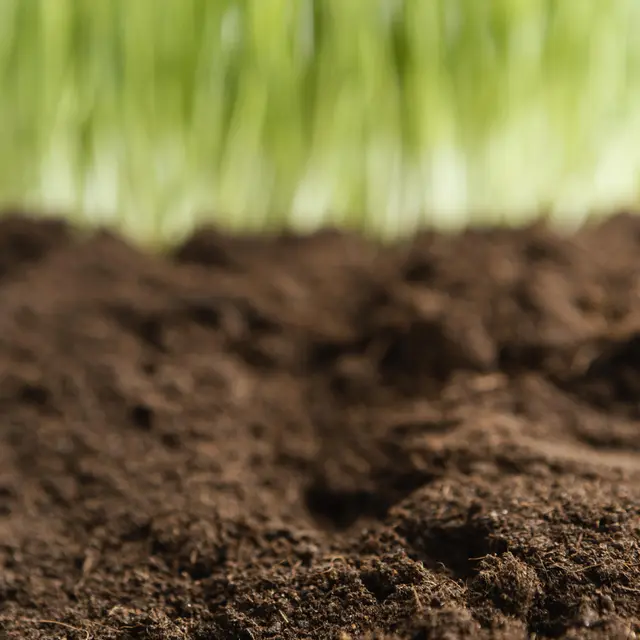 Atelier Altec (6-8 ans) - Le sol sous nos pieds_Bourg-en-Bresse