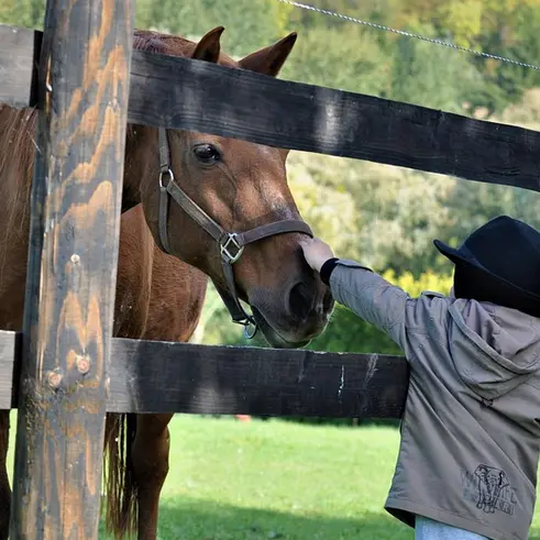 La balade des petitous par Cheval et Provence_Courthézon