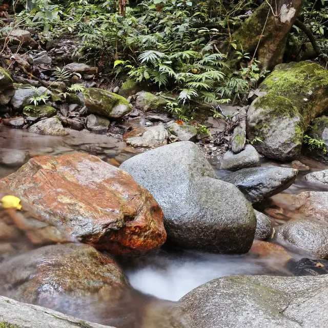 Rando marcher-autrement à Velleron : sentier du canal du moulin_Avignon