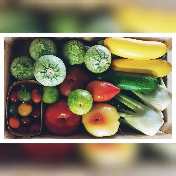 La Vallée d'Hortesie_Roquebrune-sur-Argens