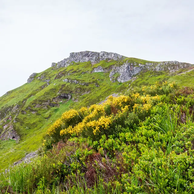 Parcours Trail - La Ronde des Puys
