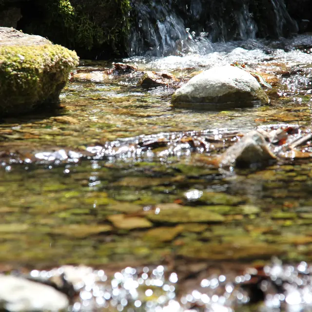 Au coeur du Parc de la Sainte-Baume - 1/2 journée_Saint-Zacharie