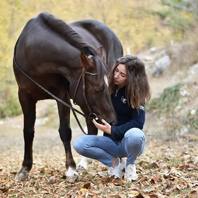 élevage des sorgues