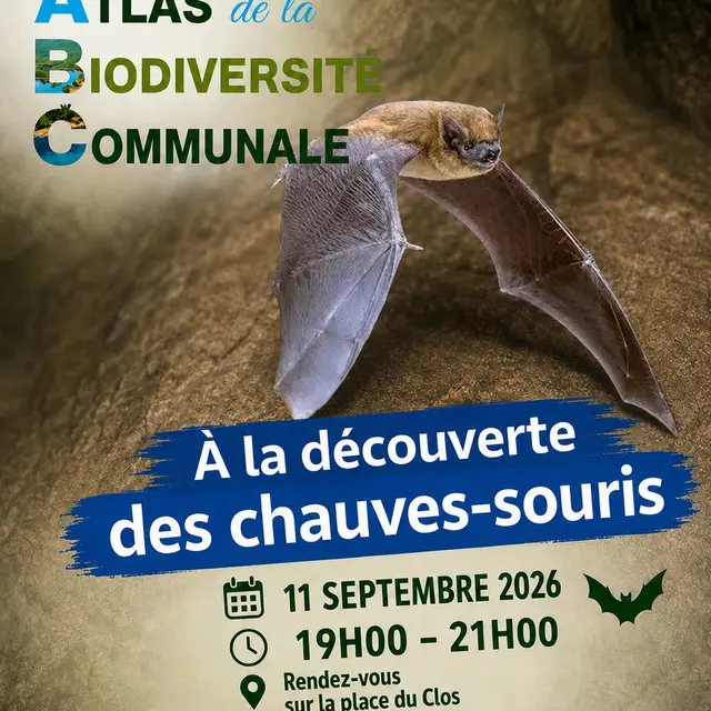 Sortie Découverte des chauve-souris - ABC Biodiversité_Montauroux