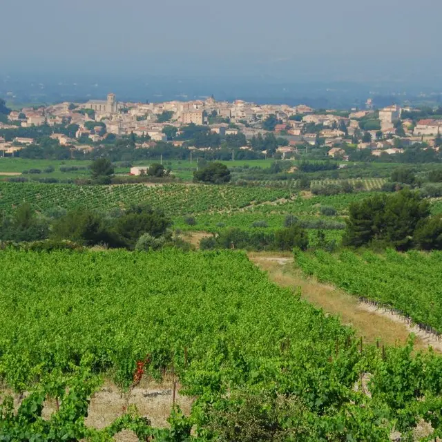 Vue de Caromb