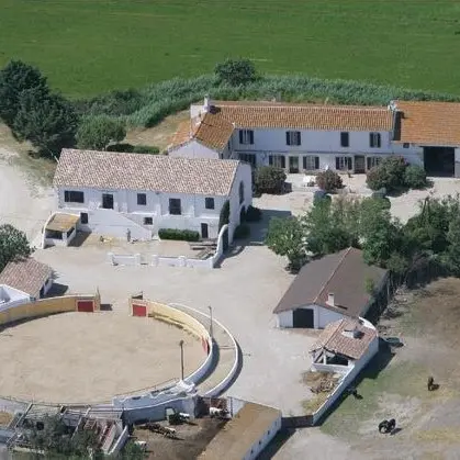 Manade Jalabert_Arles