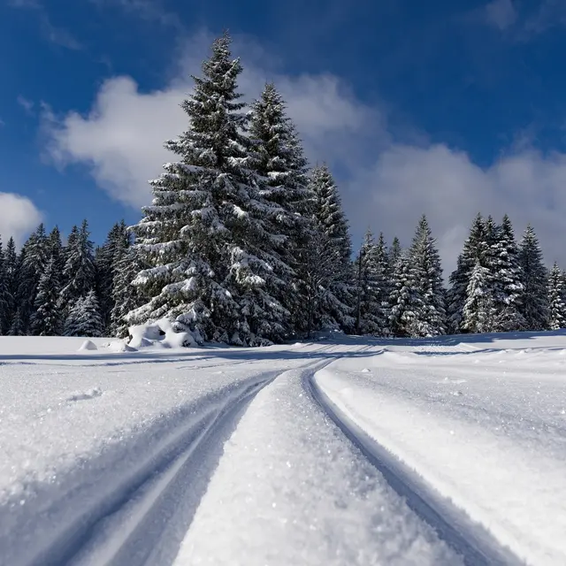 Piste de ski de fond