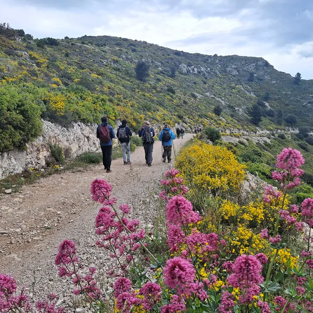 Le vallon de la Figuière - Journée_Cadolive