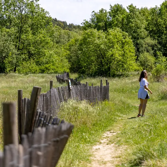 Randonnée - Découverte du Biotope de Fondurane