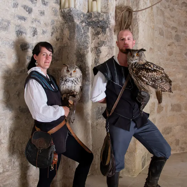 Fauconnerie à la Forteresse de Mornas_Mornas