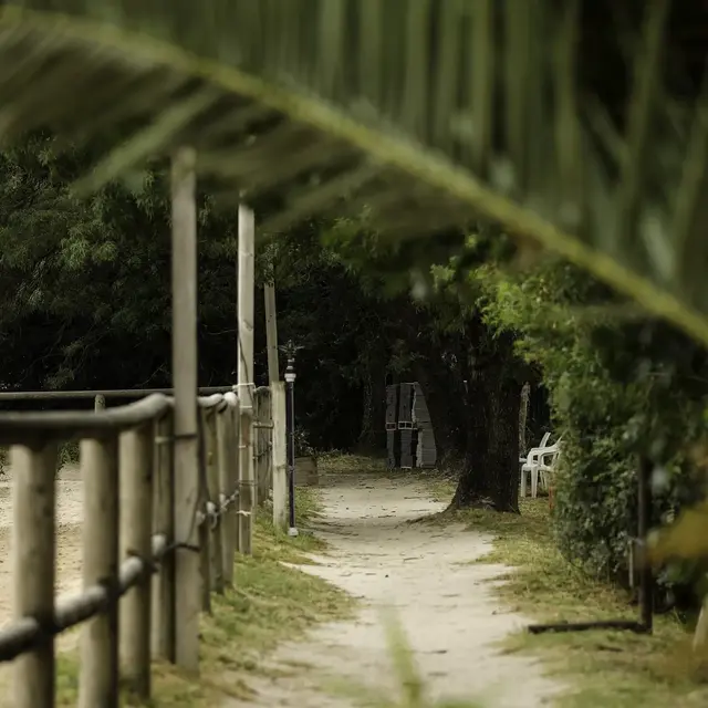 Haras d'Obtrée - La Crau