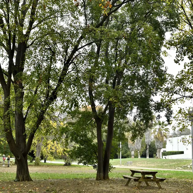 Parc Henri Fabre - Ville de Marseille