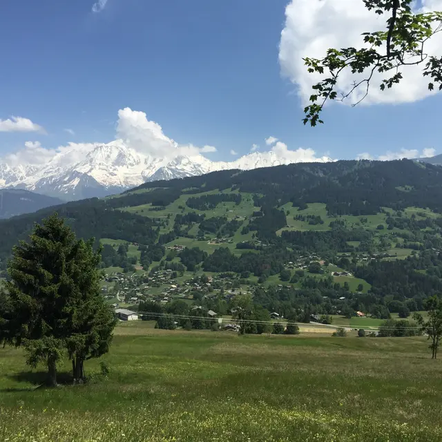 vue_mont_arbois