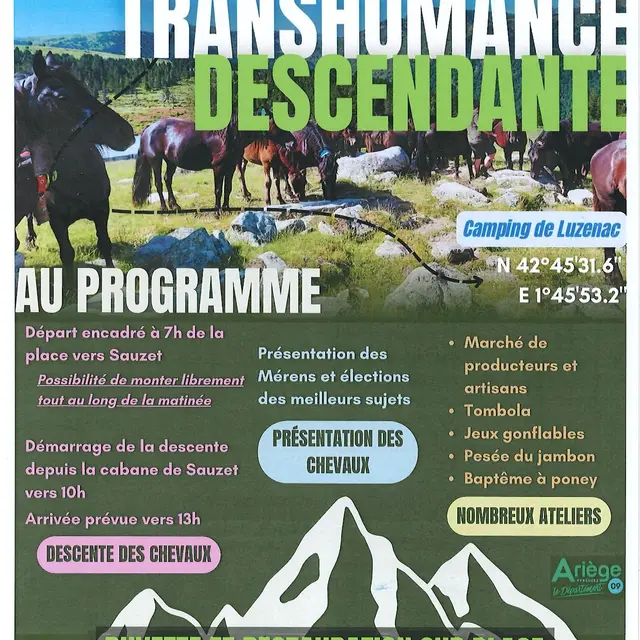 Transhumance descendante des chevaux de Mérens_Luzenac
