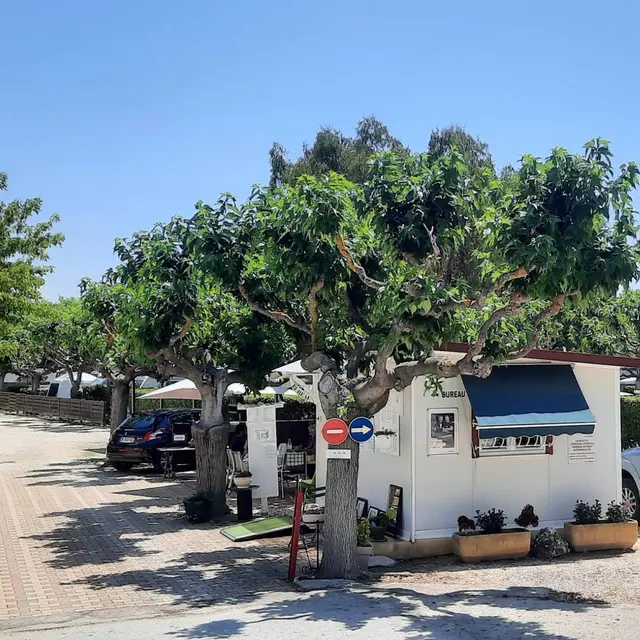 Camping Beauséjour_Le Lavandou