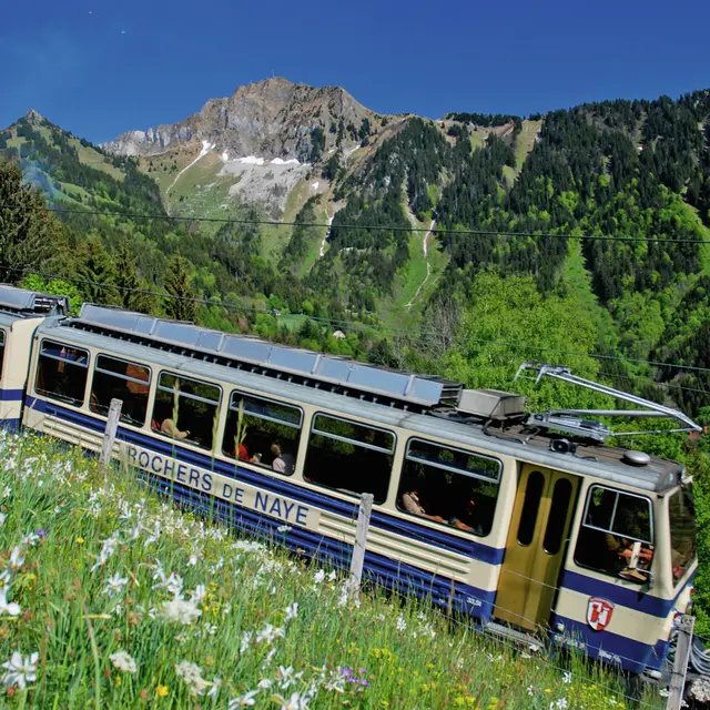 Les Rochers-de-Naye