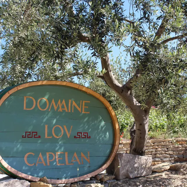 Domaine Lou Capelan