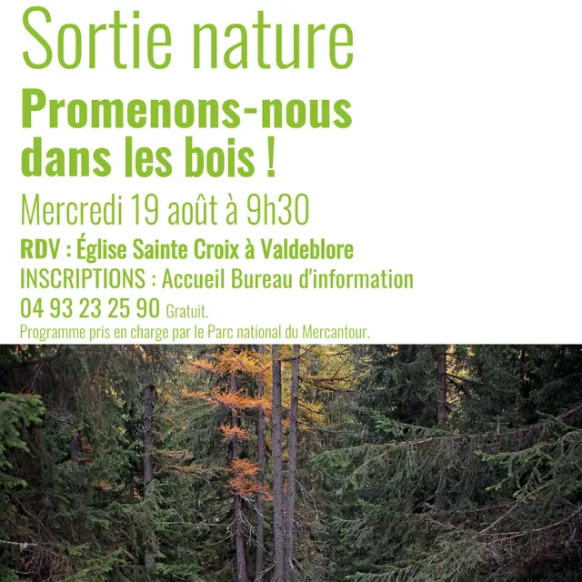 Promenons-nous dans les bois !_Valdeblore