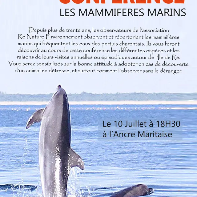 Conférence sur les mammifères marins_Sainte-Marie-de-Ré