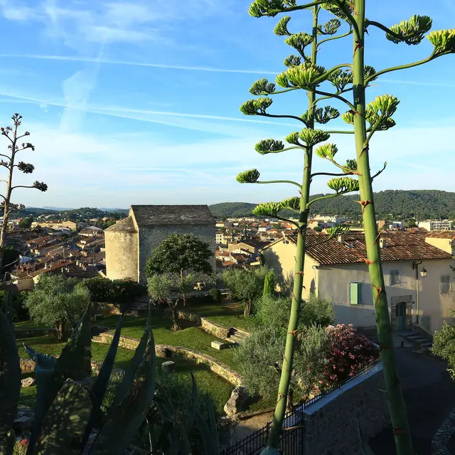 Un été au ciné - Dragon_Draguignan