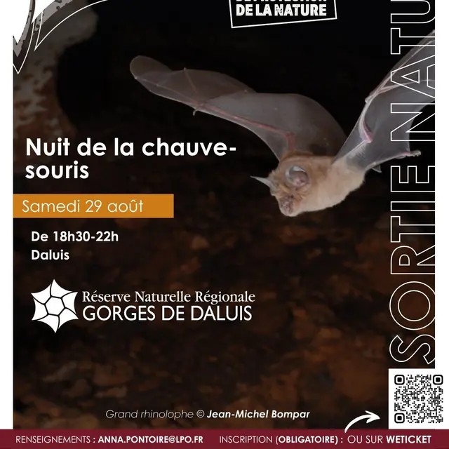 Nuit de la chauve-souris dans la Réserve naturelle régionale des gorges de Daluis_Daluis