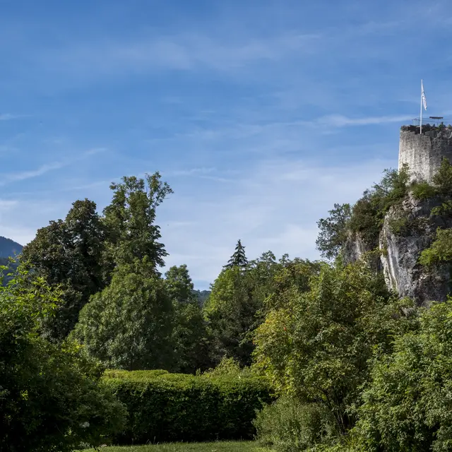 Tour des comtes de Genève