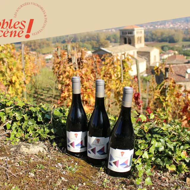 Dégustation Vin & Fromage - Terres de Syrah_Tain-l'Hermitage