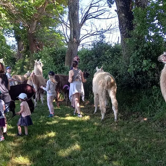 Visite guidée de la La Prairie des animaux_Quézac