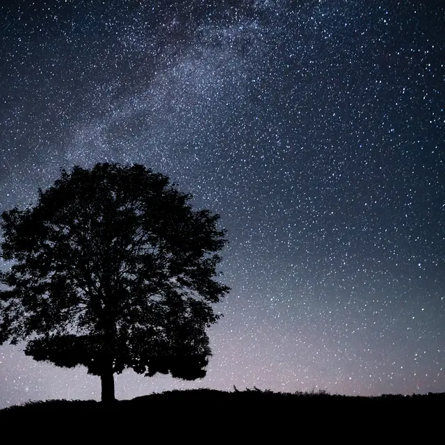La Nuit des Étoiles à la Maison de la Châtaigne