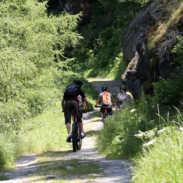 VTT