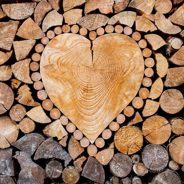 Fête du bois_Le Monêtier-les-Bains