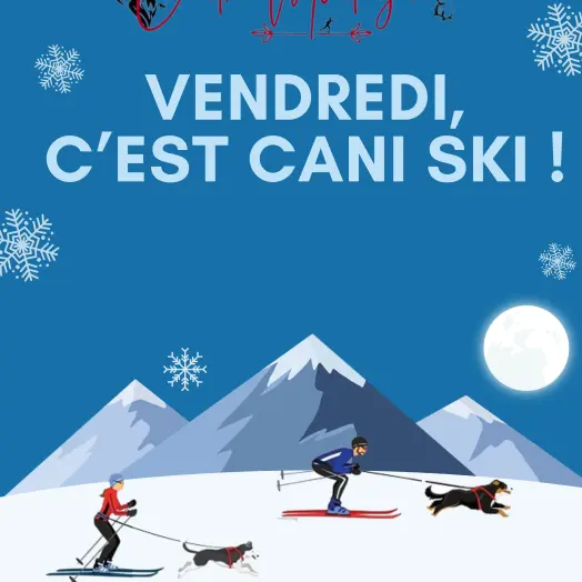 Cani-ski au domaine nordique de Villard Saint Pancrace_Villar-Saint-Pancrace