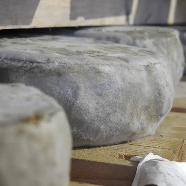 Ferme Pellegrin Family