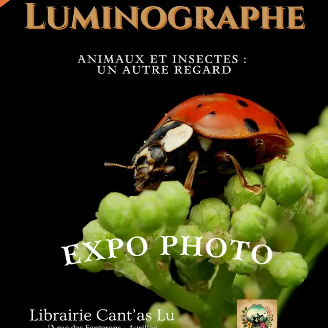 Exposition : Le Luminographe_Aurillac