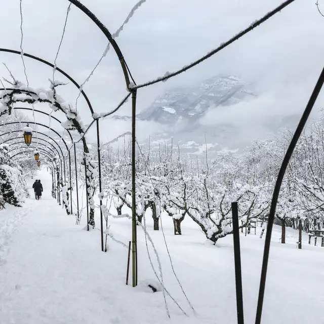 Nocturne de Noël : Contes aux Charmettes_Chambéry