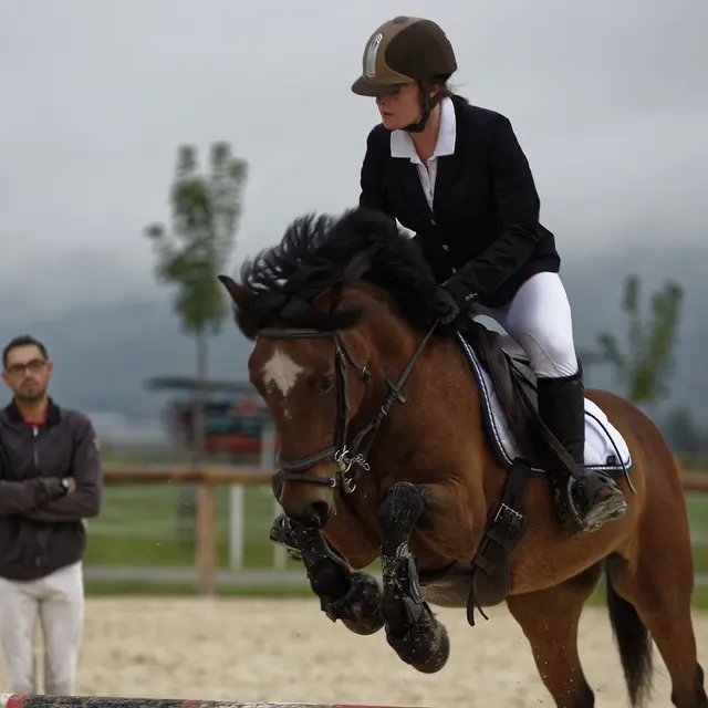 Domaine équestre de l'Ubaye