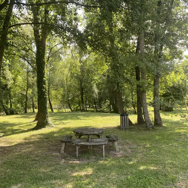 Table de pique-nique