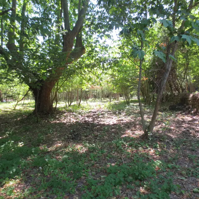 Parc Terre Rousse à Collobrières