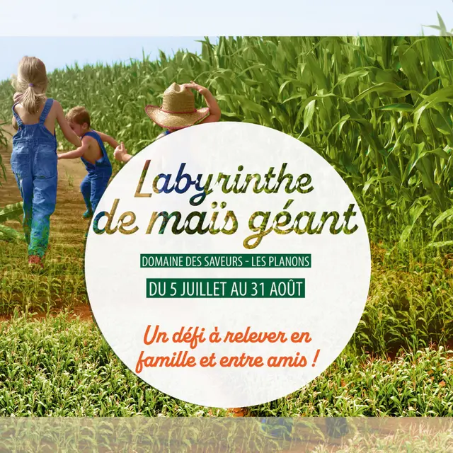 Labyrinthe de maïs_Saint-Cyr-sur-Menthon