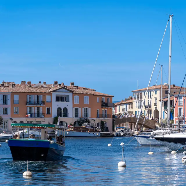 Les Coches d'eau_Grimaud