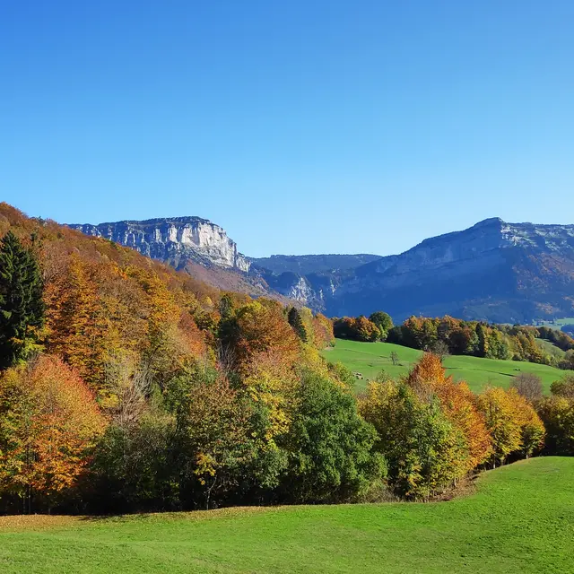 Randonnée à la découverte des forêts de montagne - 1/2 journée_Entremont-le-Vieux