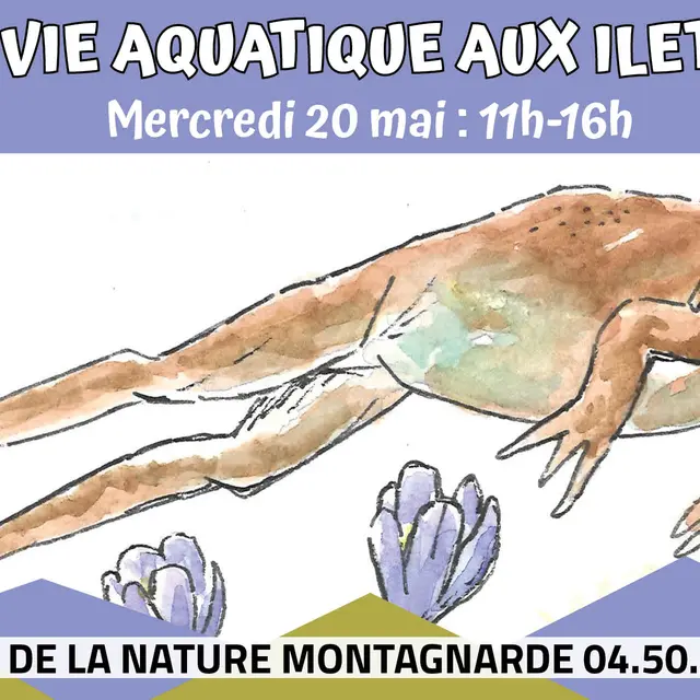 La vie aquatique aux Ilettes_Sallanches