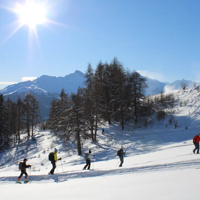 Initiation de ski de randonnée