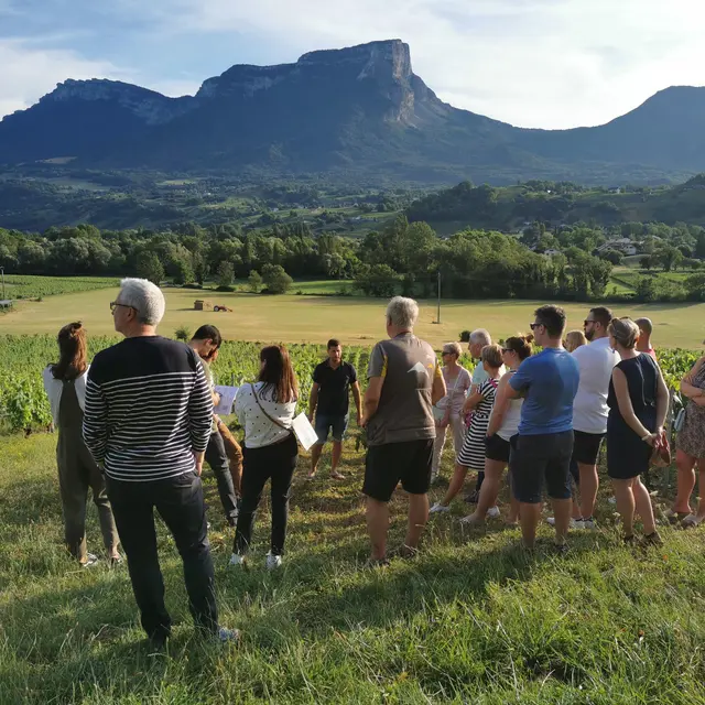 Visite du vignoble et dégustation au Domaine des Granges Longes_Porte-de-Savoie